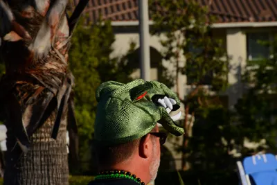 DSC_1962 (Large).JPG